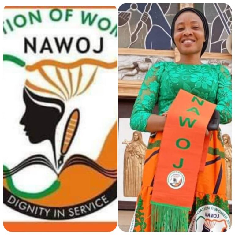 Ebonyi NAWOJ Commends Gov Nwifuru’s Initiative In Empowering 1300 Youths