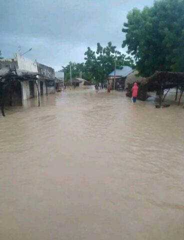 Flood submerges half of Gadiya Village in Bauchi Destroy 200 houses, 300 farmlands