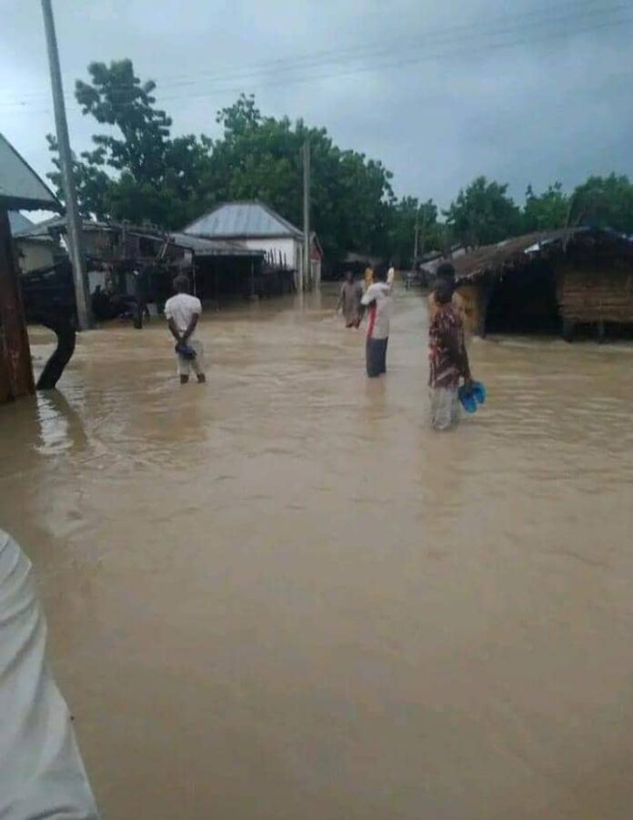 Flood submerges half of Gadiya Village in Bauchi Destroy 200 houses, 300 farmlands