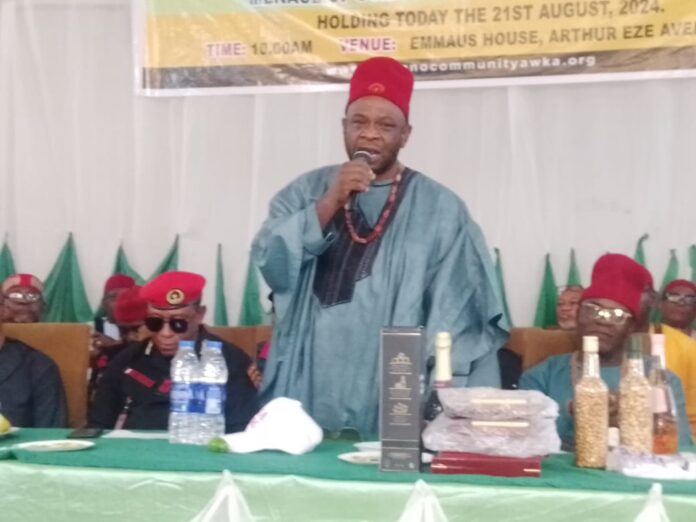 Community leader urges collaborative efforts with security to combat cultism in Anambra capital city