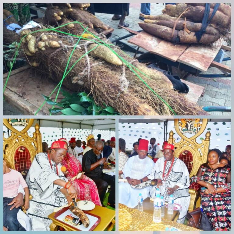 Anambra Farmer Wins N.5m for Harvesting Weightiest Yam