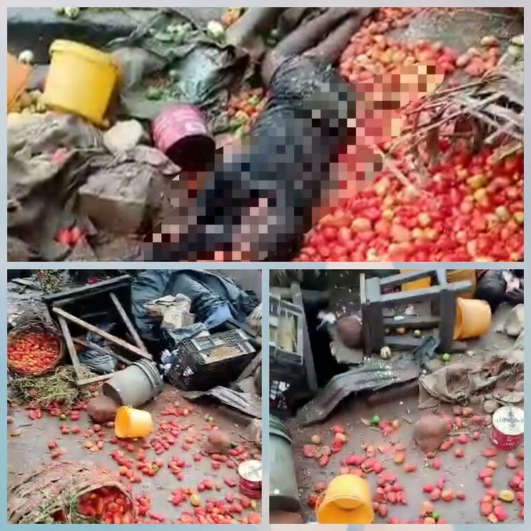 BREAKING: Many Feared Dead, As Speeding Vehicle Crashes into Roadside Market in Anambra (video)