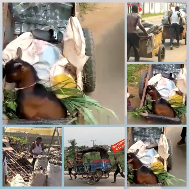 After Banning “Iron Kwandem”, Anambra Govt Begins Registration of Legitimate Metal Scrap Dealers (Video)