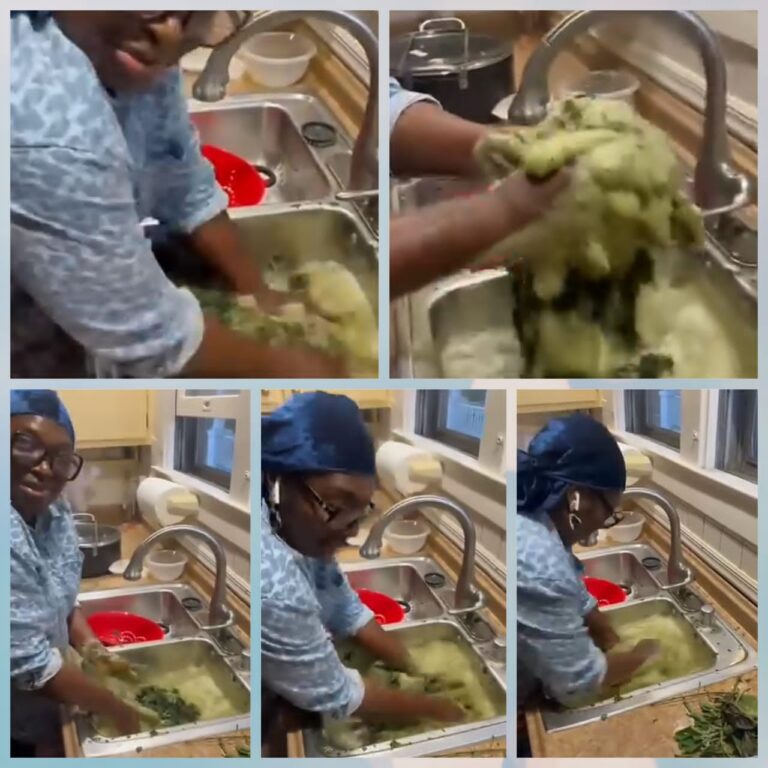 Ex-Nigerian Senator Takes Over Kitchen Role in Washington DC (Video)