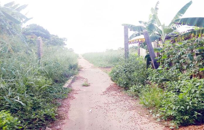 Imo Airport Host Community Roads