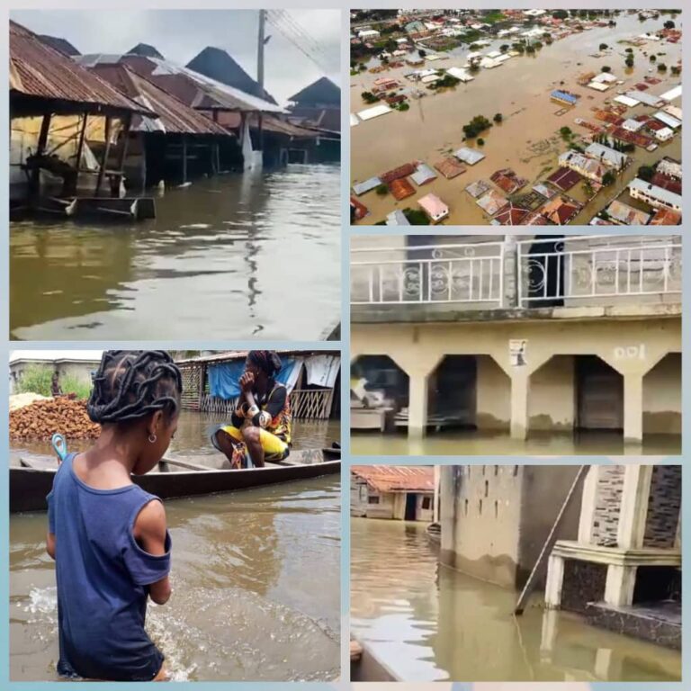 Over 600 Houses Submerged as Flood Sacks Many Anambra Communities, Govt Reacts (Videos)