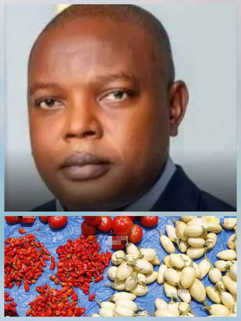 BREAKING: Govt Appoints Man as Senior Special Assistant on Garden Egg and Pepper