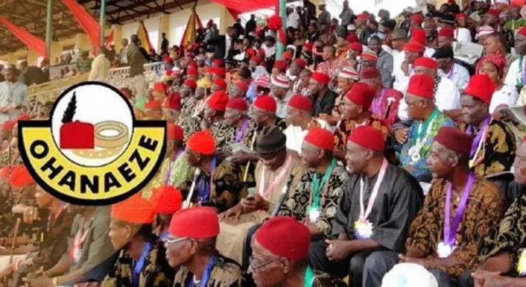 Chukwu Takes Over as New Acting PG of Ohaneze Ndigbo, To Leave Office in Next 27 Days