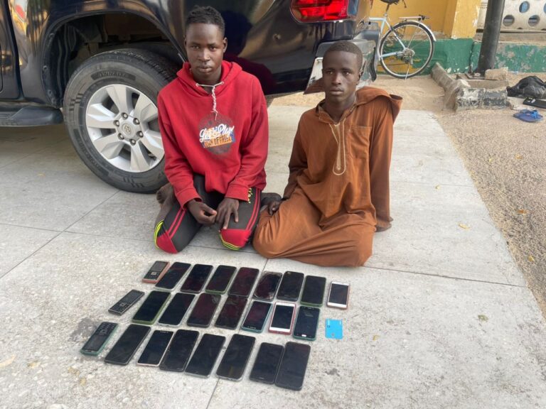 Police detain 2 suspects, recover 25 stolen phones in Borno