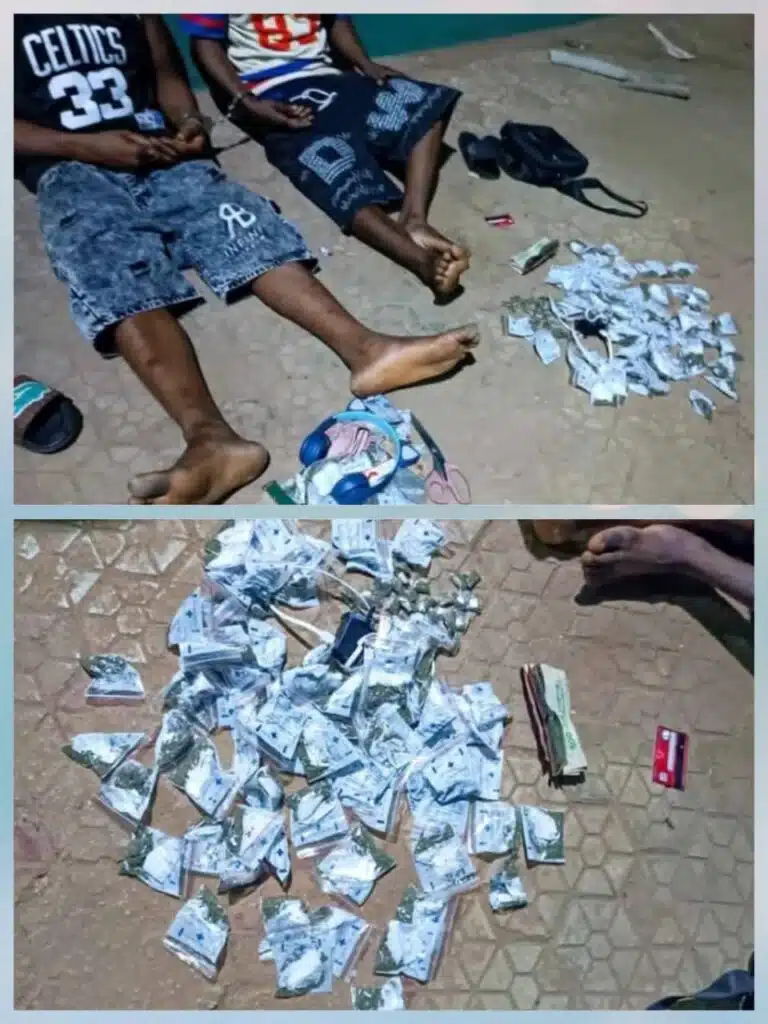 Two Drug Dealers Arrested in Anambra, Several Parcels Recovered