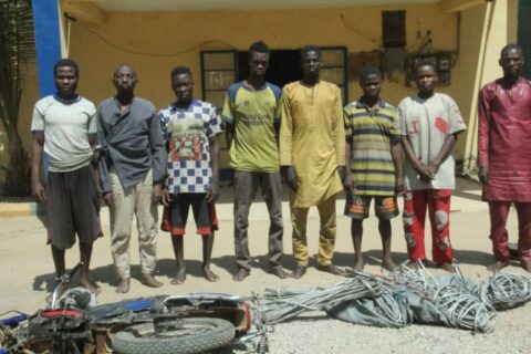 Police Arrest Six Electric Installation Vandals, Three GBV Offenders In Bauchi