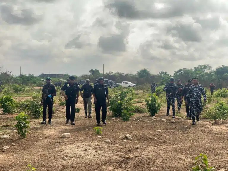 Many Arrested, Weapons Recovered As Police Cracked Down On Kidnapping In Owerri