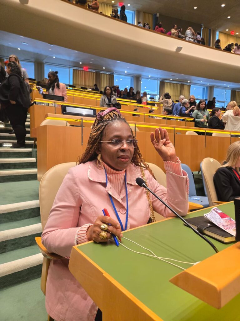 Anambra’s Okwubanego Advocates Bold Reforms for Gender Equality at CSW69 in New York