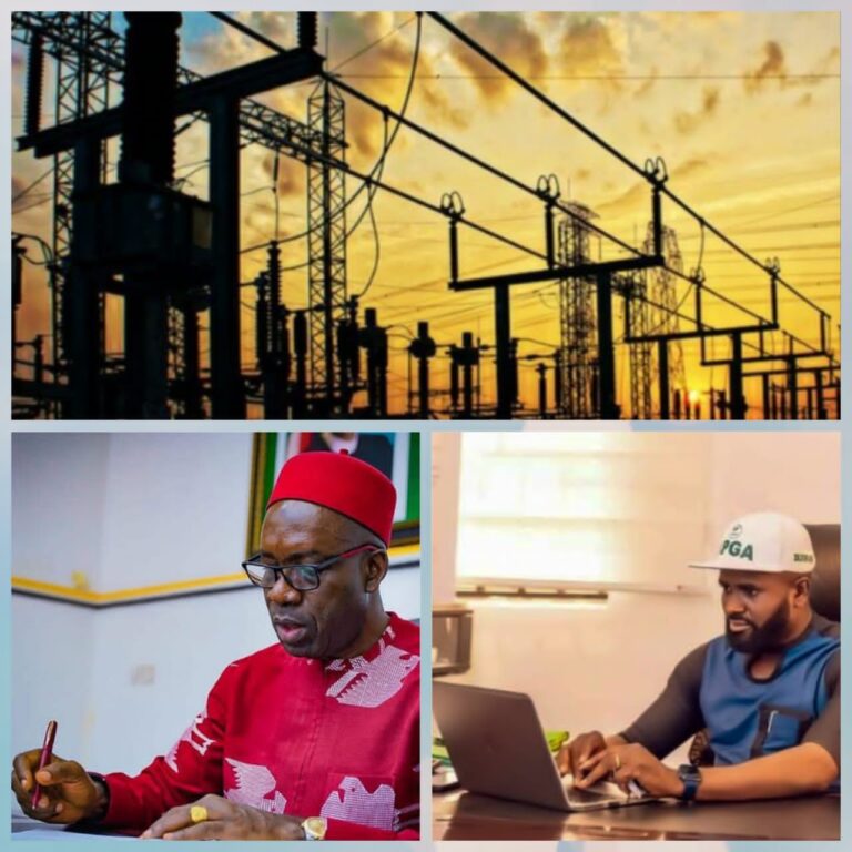 Anambra Electricity Market Loads As State Assembly Passes State Electricity Bill, Commissioner Chukwuemeka Reacts