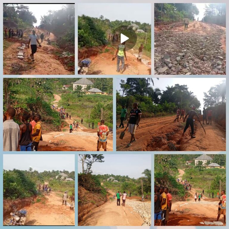 Ebenator Community Youths Undertake Palliative Works on Major Road Damaged by Flood, Appeal Govt’s Intervention (Video)