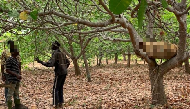Pregnant Woman Murdered, Hung on Cashew Tree in Anambra, Police Launch Investigation