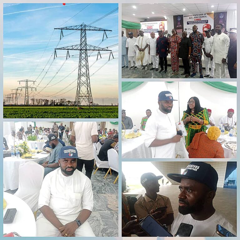 Anambra Eyes Bioenergy for More Stable, Affordable Power Supply — Commissioner Chukwuemeka