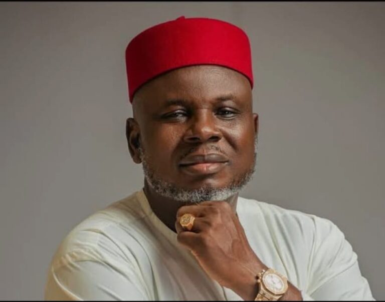 Why Ukachukwu Stands A Chance As Governor– A Response to Mr Emeka Ozumba