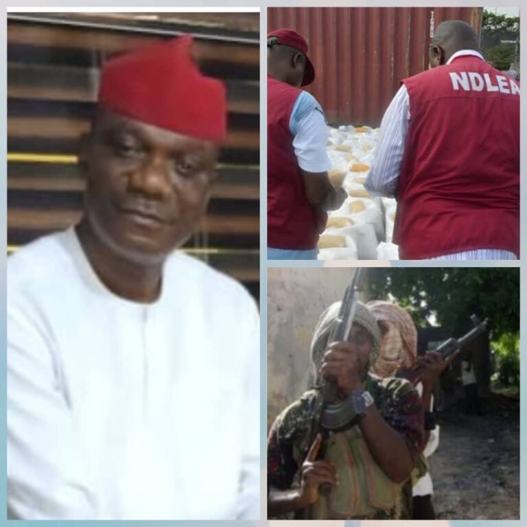 Anambra NDLEA Boss Kidnapped, Released 10 Days After