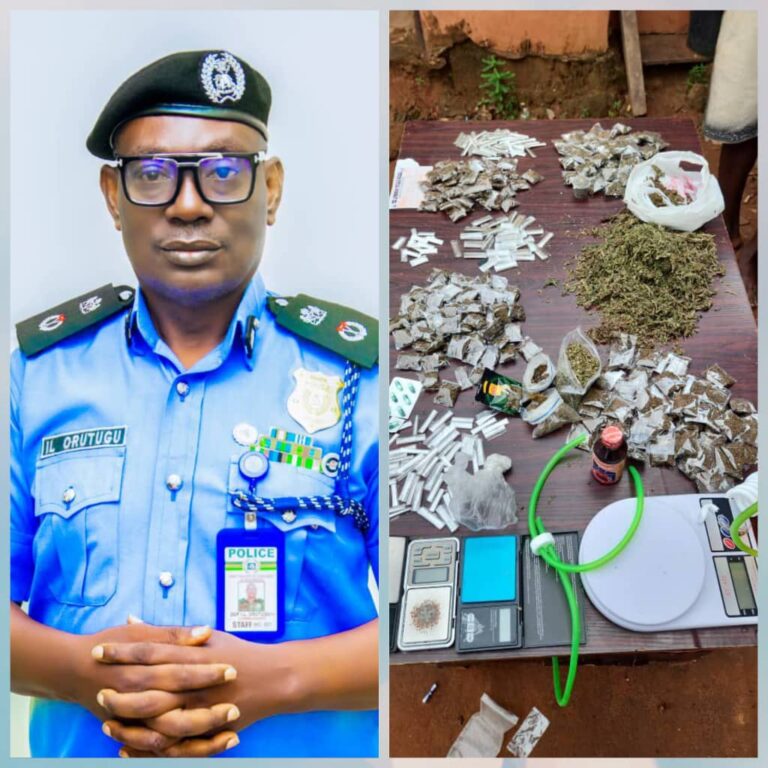 In Anambra, Police Arrest Igwe, Others for Drug Abuse