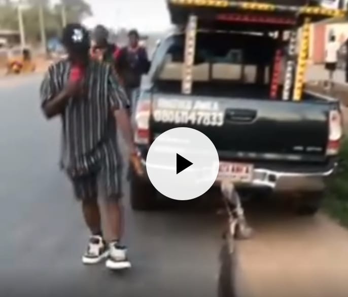Finally, Anambra Man Catches the ‘Snake That Swallowed Money from JAMB Office’ (Video)