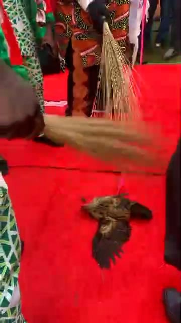 Visionless APC and Anambra’s Hapless Cockerel
