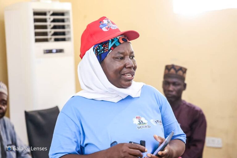 Bauchi State Government Launches Initiative to Formalize Informal Mining Sector