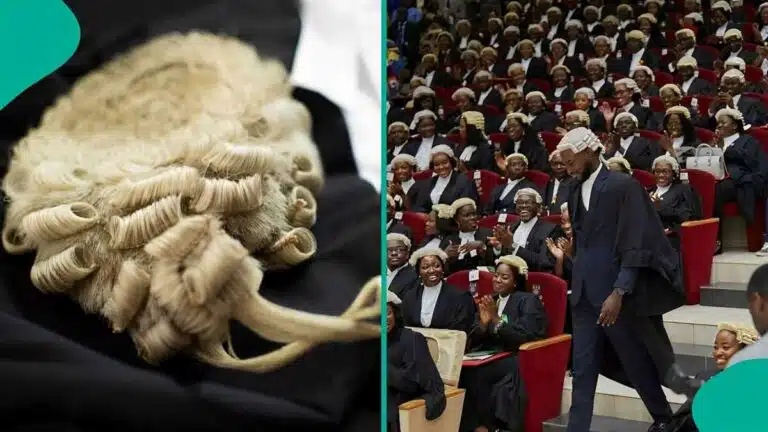 The Perils of Professional Recklessness: A Call for Decorum in the Legal Arena
