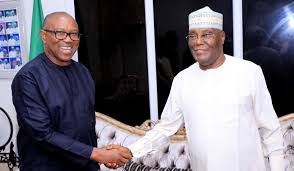 Nigeria Needs Them Together: Why Atiku and Obi Must Unite to Rescue the Nation