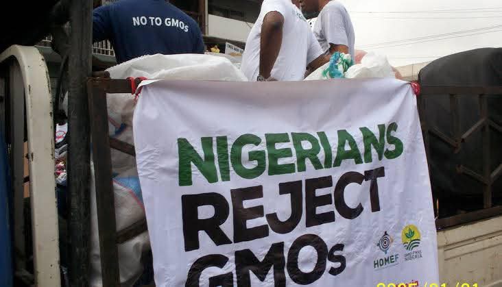 The GMO Debate in Nigeria: A Noble Stand from Privilege