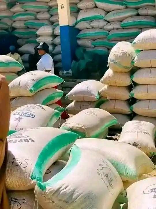 Maize Price Crash Hits Food Hoarders Hard As Market Drops By Over 50%