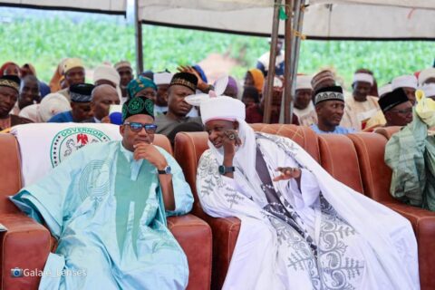 Bauchi to Reward Farmers who plant Trees in their farms