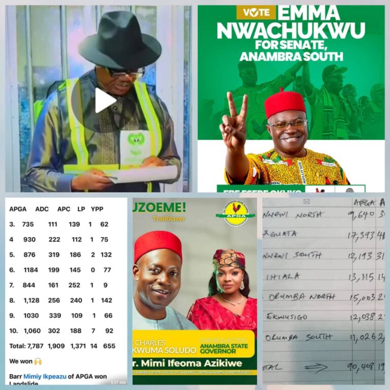 By-elections: Despite Bullies, APGA’s Nwachukwu, Azikiwe Floor APC, Others in Anambra (Full Result)