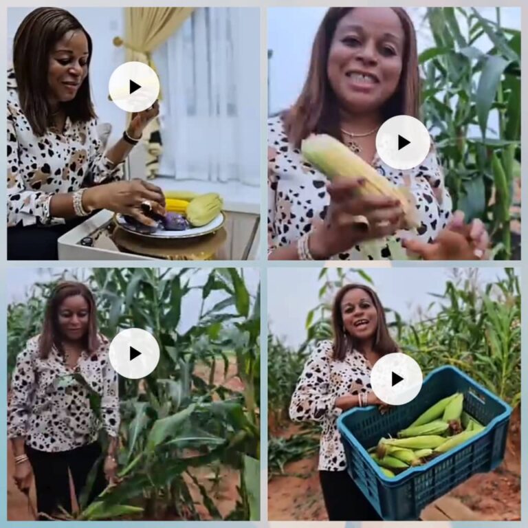 Soludo’s Wife Invites Ndị Anambra to Eat Corn with Her at New Govt House (Video)