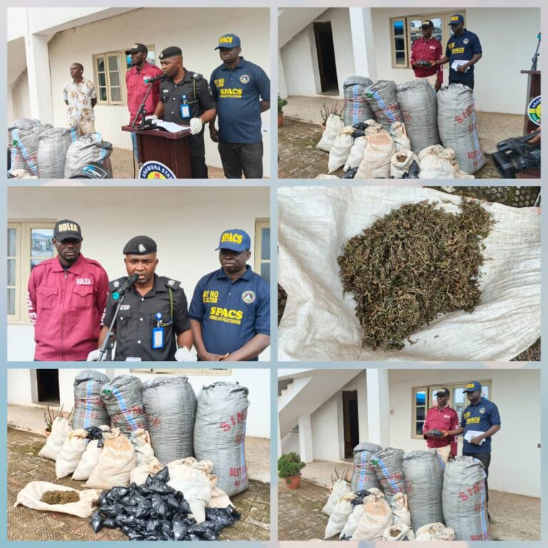 54 Arrested, As Police Bust Drug Rings in Anambra, Warn Against Provocative Utterances Ahead of Guber Poll