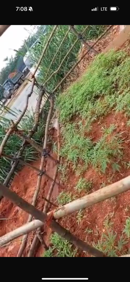 Onitsha South Council Sues Anambra Assembly Over Disputed Land