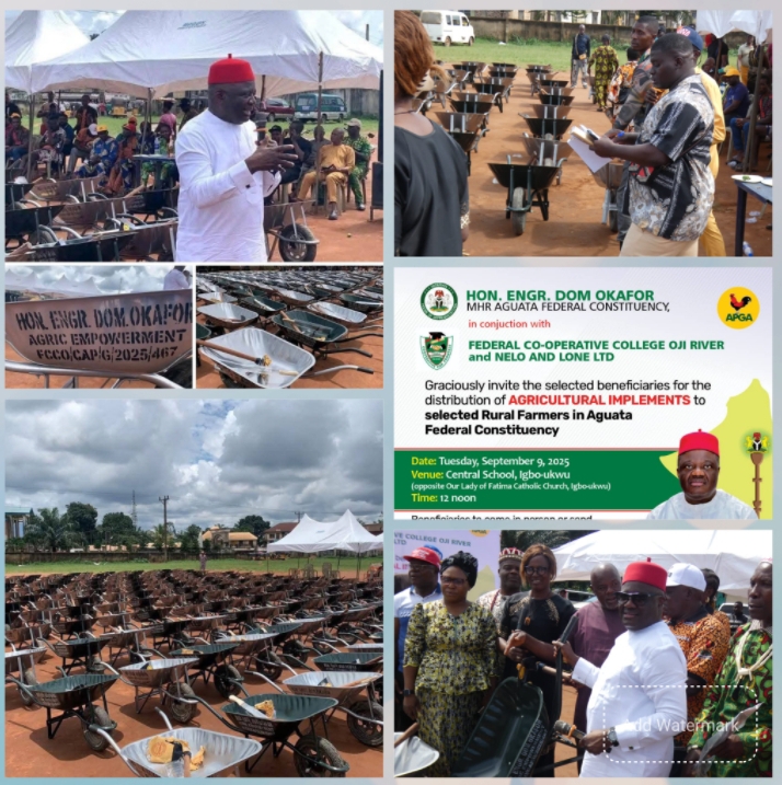 I Prefer Teaching My People to Fish Than Giving Them Fish — Anambra Reps Member Who Empowered Constituents with Wheelbarrows, Others
