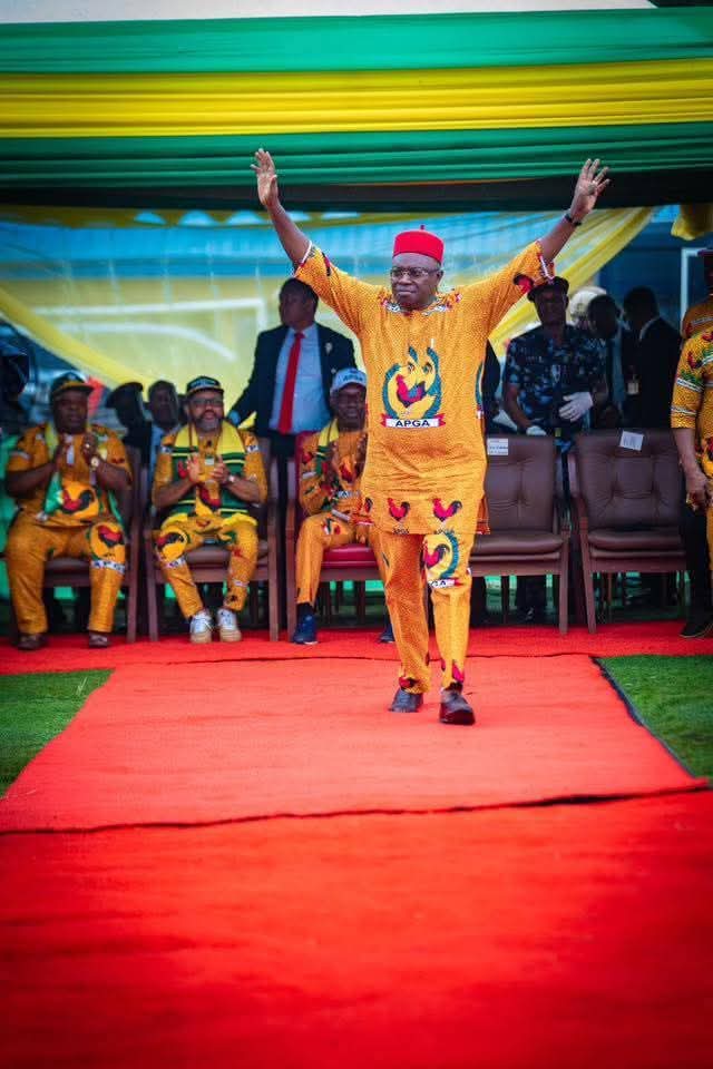 Let’s Rekindle the Spirit of Unity — Senator Nwachukwu Urges Nigerians, Reassures Inclusive Representation