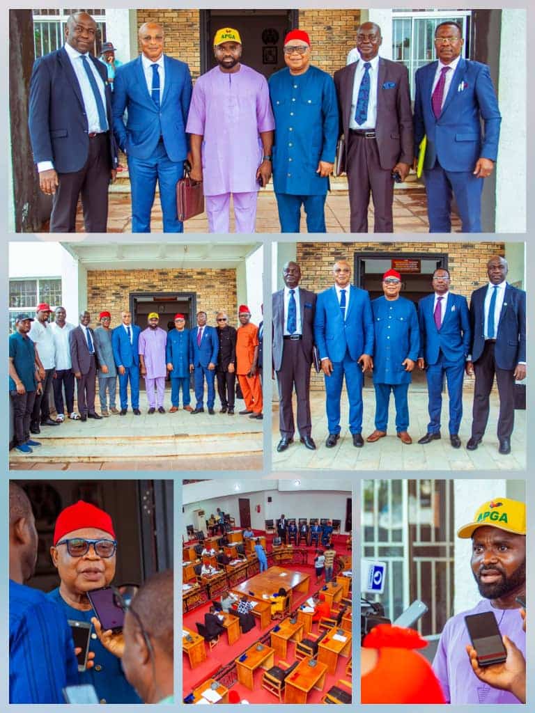 Anambra Moves Closer to Energy Independence as House Confirms ASERC Chairman, Four Commissioners