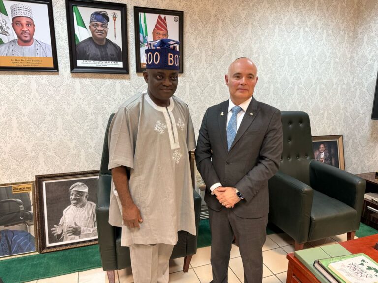 Honorable Wole Oke and the Israeli Lobby: A Question of Loyalty and National Interest