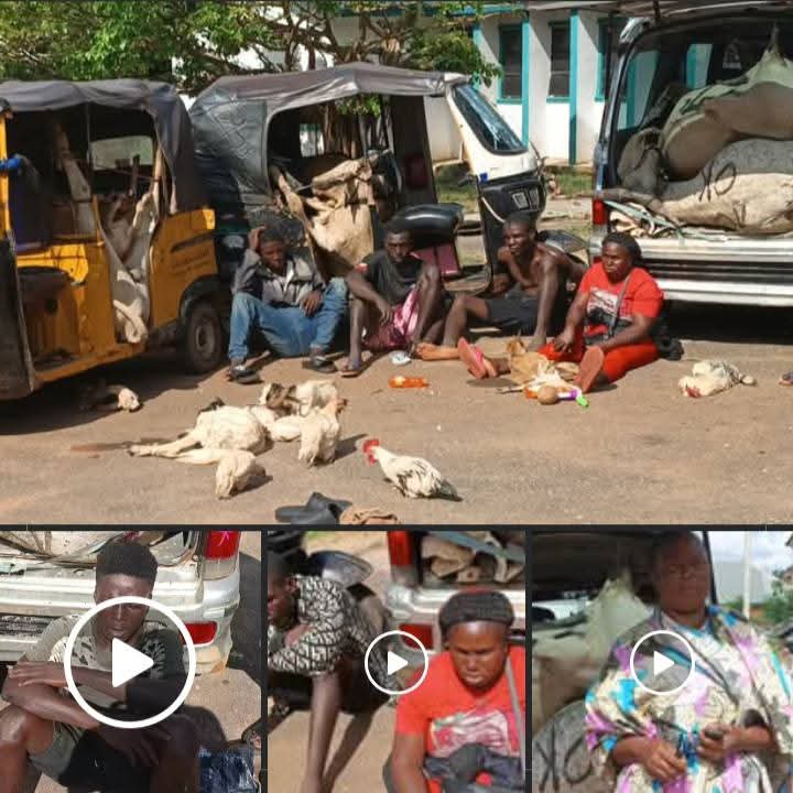Five Arrested for Selling Decaying Sacrificial Animals from Omambala River as Meat Food Vendors