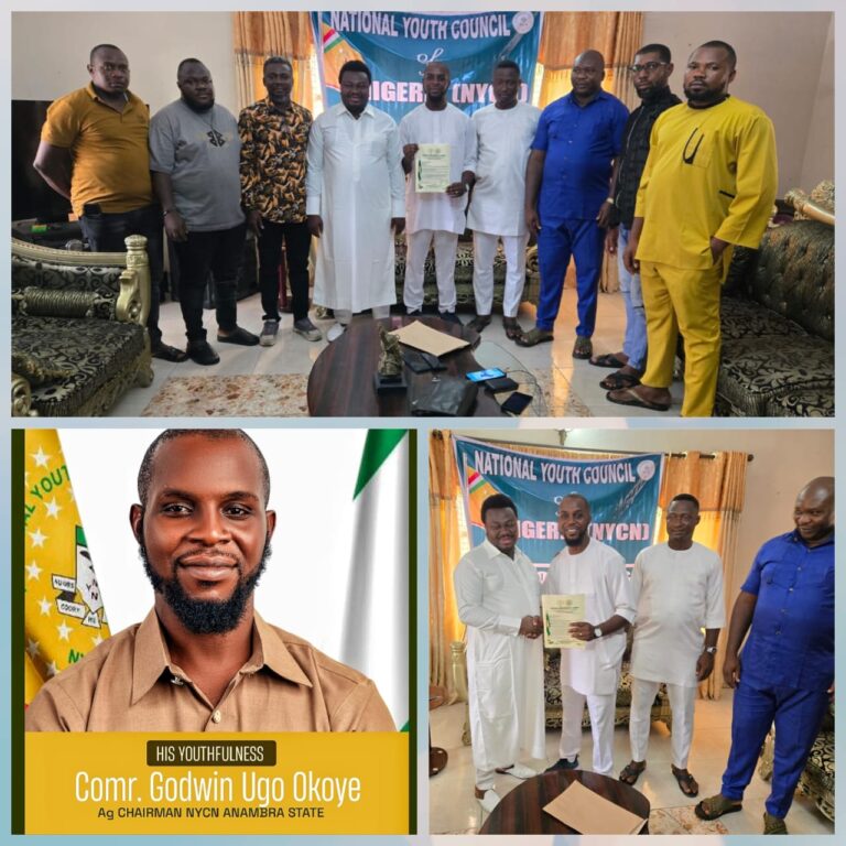 New Era for Anambra Youth Council as Okoye Takes Charge