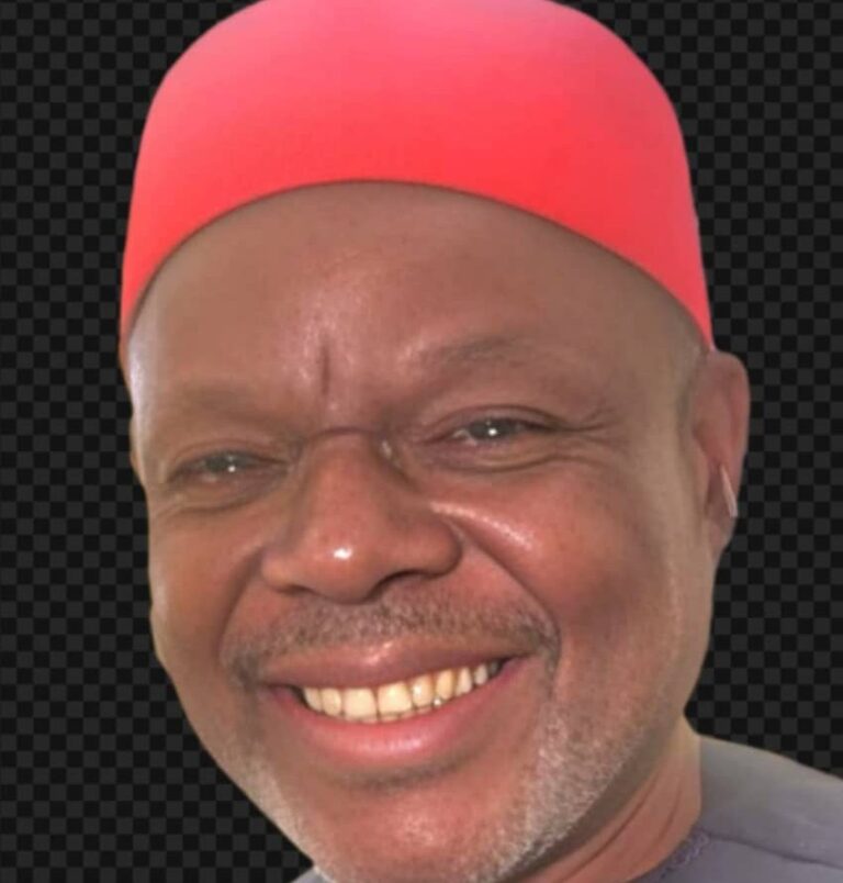 SEDC Tonic For South East Development Says Ezenwa Anambra Renewed Hope Ambassador 