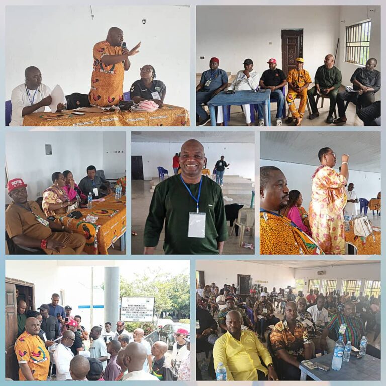 Ochuba, Chukwumaobi Lead as APGA Stakeholders Screen Chairmanship Aspirants in Nnewi South