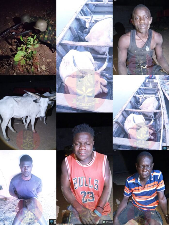 Selective Justice? Outcry as Military Prioritizes ‘Cattle Protection’ Over Benue Killings