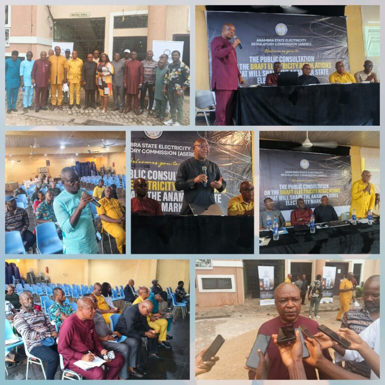 FirstPower, Stakeholders Review Draft Electricity Regulations at ASERC Public Consultation in Onitsha