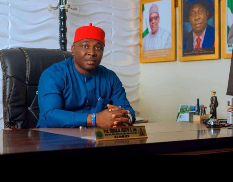 Despite Initial Challenges, Nigeria under Tinubu on Way to Greatness — Anambra RHA Coordinator