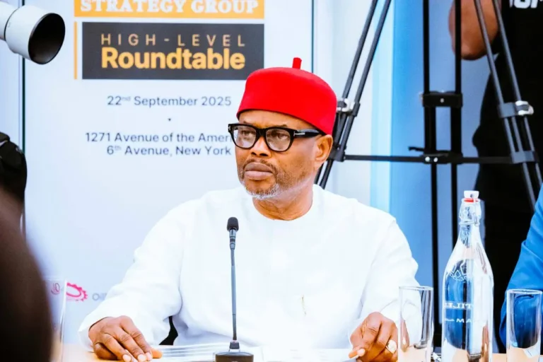 Former Minister of Innovation, Science, and Technology, Uche Nnaji