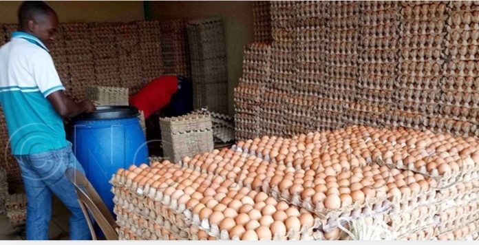 Outrage Over Food Inflation as Crate of Eggs Climbs Past ₦6,000 Nationwide