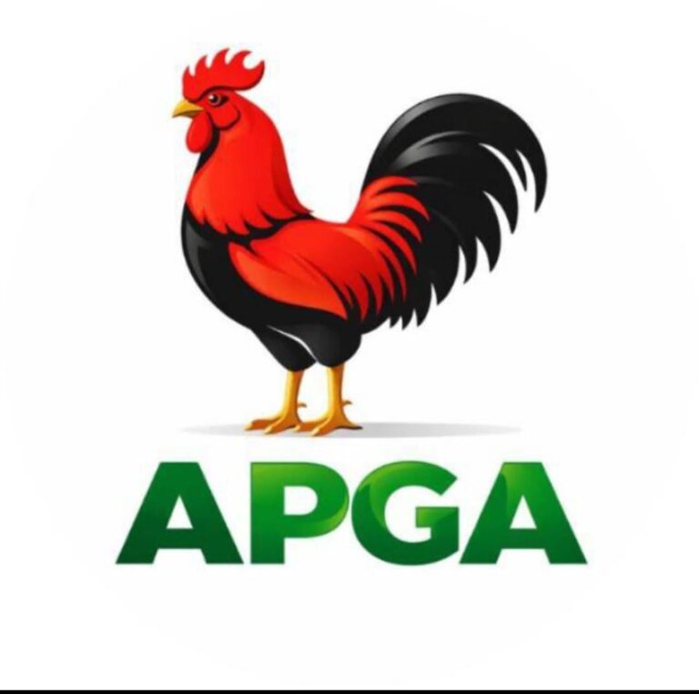 Odua, Nwankwo, Obidigwe Others Make APGA list Of Nominated Candidates For Assembly And NASS